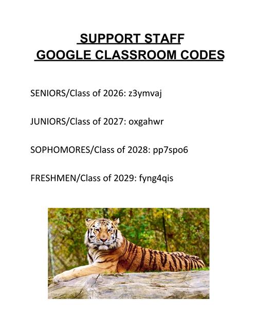 GOOGLE CLASSROOM CODES